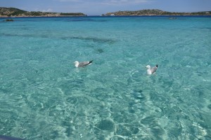 La Maddalena - Only 1 hour drive from La Vignaredda