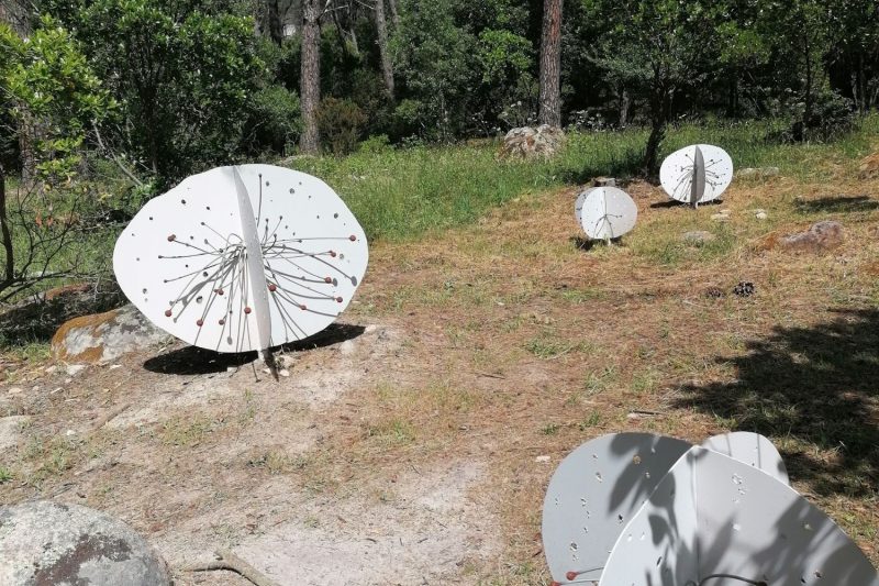 Opere di arte ambientale nel bosco del Museo Organica sul Monte Limbara