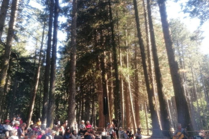 Concerto all’aperto nel bosco di sequoie di Vallicciola sul Monte Limbara