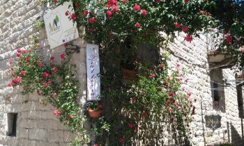 Aggius - winebar il mosto